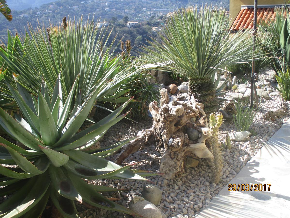 Les Mimosas Bed and Breakfast Menton Buitenkant foto
